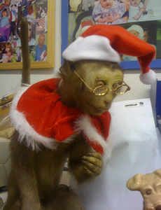 Christmas bruce the monkey Heanor 